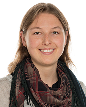 How does crispr work picture